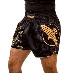 Hayabusa Falcon Muay Thai Shorts
