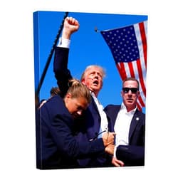 GUN SUPPLIES OUTLET LLC Donald Trump July 13, 2024 Keep Fighting Fist Pump Framed Photo