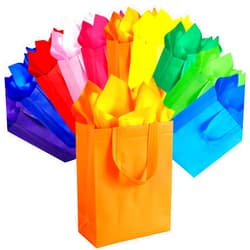 SPERPAND 20 Pcs Medium Reusable Gift Bags with Tissues - Party Favor Bags Non-Woven Tote Birthday Goodie Bags for Kids, Baby Shower, Rainbow Party Supplies