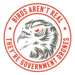 Vision Graphics Birds Aren_T Real (9) Sticker Bumper Sticker Vinyl Decal 5