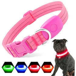 PZRLit Light Up Dog Collars Rechargeable, Reflective LED Glow Dark Dog Collar for Small Medium Large Dogs, Adjustable Pet Dog Lights for Safe Night Walk-Pink, Small