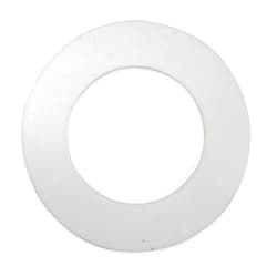 CAI - CAI Approved Plastomer Technologies Virgin PTFE Flange Gasket, 2-1/4