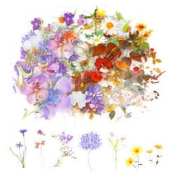 DIVINA VITAE 120 Pcs Transparent Flower Stickers for Scrapbooking PET Nature Plant Sticker Vintage Craft Floral Stickers Colorful Small Flower Sticker for Journaling Scrapbook Supplies for Adults Kids