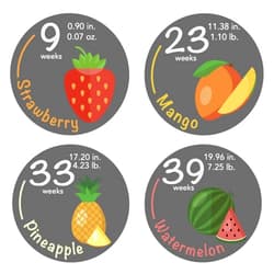Bebon Bump Stickers - 40 Weekly Pregnancy Tracking Stickers – Week 5 to 40 + 4 Bonus Stickers – Pregnancy Photo Prop – Fruit 3.93 Inch