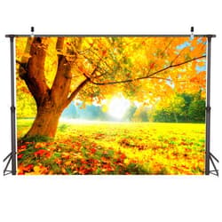 LYWYGG 8x6FT Autumn Golden Maple Deciduous Photography Background Fall Photo Backdrop Wedding Backdrop Newborn Photography Backdrops CP-189-0806