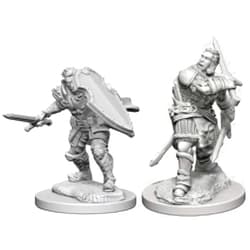 WizKids D&D Nolzurs Marvelous Unpainted Miniatures: Wave 3: Human Male Paladin