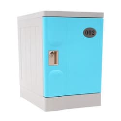 DNYSYSJ Storage Locker for Employee, 19