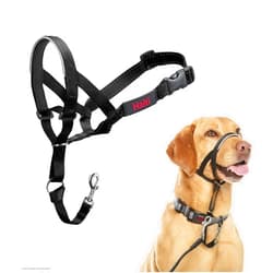 The Company of Animals HALTI Headcollar - To Stop Your Dog Pulling on the Leash. Adjustable, Reflective and Lightweight, with Padded Nose Band. Dog Training Anti-Pull Collar for Medium Dogs (Size 3, Black)