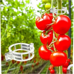 Dalzom® 300Pcs Tomato Clips, Plastic Trellis Clips Plant Support Clips, Plant Clips for Support, Grape Vine, Tomato Vine, Vegetables Plants, Garden Clips to Grow Upright Makes Plants Healthier