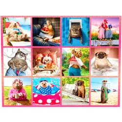 Ceaco - Hilarious Animals - 500 Piece Jigsaw Puzzle