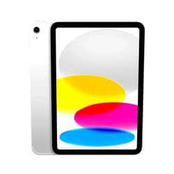 Apple 2022 Apple iPad (10.9-inch, Wi-Fi, 256GB) - Silver (Renewed Premium)