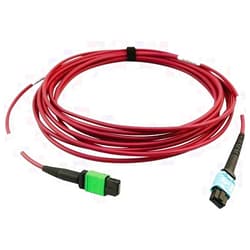 Tripp Lite 400GB Ethernet Fiber Optic Cable, Multimode 50/125 OM4 Cable, Plenum Rated, 16F MTP/MPO-APC to 24F MTP/MPO-UPC (F/F), 5m, Magenta (N846D-05M-16CMG)