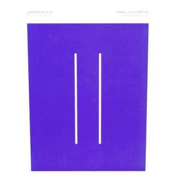 Susanne Gaensheimer,Doris Krystof,Carsten Nicolai,Kathrin Dreckmann,Friedrich Kittler,Rainer Maria Rilke Carsten Nicolai: Parallax Symmetry