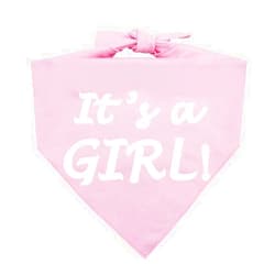Barleygoo It’s a Boy or It’s a Girl Dog Bandana Pregnancy Announcement Dog Bandana Baby Announcement Triangle Pet Scarf Scarves Gender Reveal Photo Prop Pink