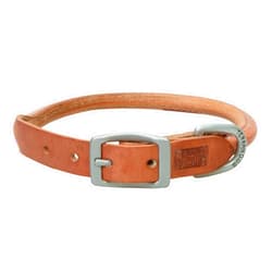 Terrain D.O.G. Harness Leather Rolled Dog Collar 17