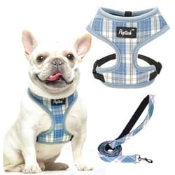 PUPTECK Soft Mesh Dog Harness and Leash Set Pet Puppy Cat Comfort Padded Vest No Pull Harnesses, Sky Blue, S