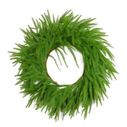 UXORSN 24 Inch Christmas Wreaths for Front Door,Real Touch Artificial Norfolk Pine Wreath Christmas Decorations Large Greenery Garland for Wall Windows Fireplace Farmhouse Indoor Outdoor Xmas Decor