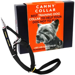 Canny Collar No-Pull Dog Collar - The Kind, Gentle Head Collar for Dogs| Dog Training Tool for Easier Dog Walking | Black - Size 1