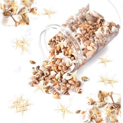 Wanwanzi 1200 PCS Tiny Sea Shells &10 Small Starfish - Mixed Ocean Beach Spiral Seashells for Fish Tank and Vase Filler, Beach Theme Party, Wedding Decor - DIY Craft Supplies