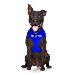 Dexil Limited Therapy Dog Blue Color Coded Non-Pull Front and Back D Ring Padded and Waterproof Vest Dog Harness Prevents Accidents by Warning Others of Your Dog in Advance (S)