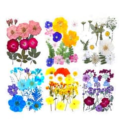 Elefis Dried Pressed Flowers, E23A18, Colorful B, for Resin, Candle Making, Crafts, Nails, Scrapbooking, Epoxy Jewelry, Soap Making