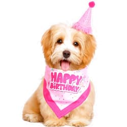 Pistha Dog Birthday Party Bandana Hat Set Dog Birthday Bandana Scarf and Dog Birthday Hat with Number for Dog Pet Birthday Party (Pink Scarf & Hat)