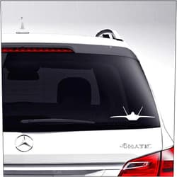 Aampco Decals F-22 Raptor Jet Fighter Military Plane Car Truck Motorcycle Windows Bumper Wall Decor Vinyl Decal Sticker Size- [6 inch/15 cm] Wide/Color- Matte White