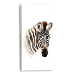 Canvas Lab Canvas Wall Art Decor Safari Portrait II by the Artist Grace Popp – Size: 18 x 36 in - Art subject: Nature,Nature and animals