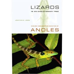 Jonathan Losos,Harry W. Greene Lizards in an Evolutionary Tree: Ecology and Adaptive Radiation of Anoles (Volume 10) (Organisms and Environments)