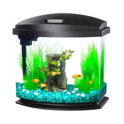 Aqueon 00800201: Aquarium Kit Mini Bow Led Blk 5G