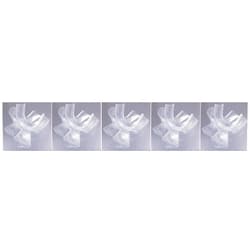 Impressive Smile 10/Pack Thermo-Molding Boil and Bite Teeth Whitening Mouth Trays by Impressive Smile