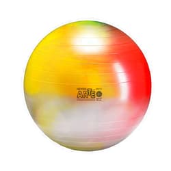 GYMNIC Arte Plus Burst-Resistant Exercise Ball