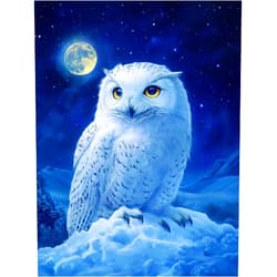 DMYYDSZH Diamond Painting Kits for Adults Owl on Snowy Mountain DIY 5D Diamond Art Kits for Beginners Full Drill Diamond Dots Crystal Craft Kits for Home Wall Art Bedroom Decor Gifts 11.8x15.8 inch