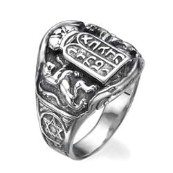 Baltinester Support Israel - 925 Sterling Silver Ten Commandments and Regal Lions Jewish Ring for Men with Hebrew Letters and Star of David Size 4 to 13.5 Jewelry