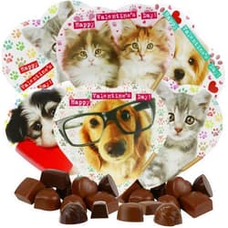 Needzo eedzo Animal Lovers Valentines Chocolate Heart Boxes Bundle, Includes 6 Cat and Dog Assorted Gourmet Gifts, Set of 6