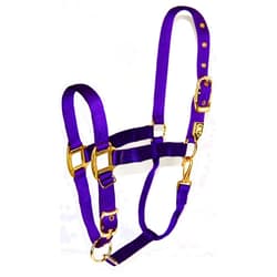 Hamilton 1-Inch Nylon Halter with Adjustable Chin, Purple - Average Size