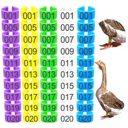 Keedolla 100Pcs 25mm Chicken Leg Rings Duck Leg Bands with 5 Color, Poultry Leg Bands Clip on Leg Rings for Ducks Guinea Goose Gamefowl Turkey - Large