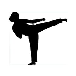 Ranger Products Karate Girl Sticker Car Window Decal Fight Woman Kick Neat Gift Vinyl Black Belt - Die cut vinyl decal for windows, cars, trucks, tool boxes, laptops, MacBook - virtually any hard, smooth surface