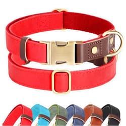 Didog Soft Padded Leather Dog Collars for Small Dogs, Classic Heavy Duty Dog Collar Adjustable with Quick Release Metal Buckle,Red,S Neck 10-15