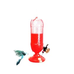 Gadjit Soda Bottle Hanging Hummingbird Feeder Kit |Fun Inexpensive Project for Kids at Home | Fill Feeder with Nectar or Sugar Water, Hang Outdoors, Promotes Plastic Bottle Re-use (Red)