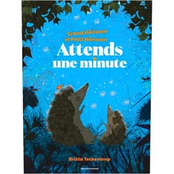 French Edition by Britta Teckentrup (Author, Illustrator), Anne Bideault (Translator) Attends une minute (Grand Hérisson et petit hérisson)