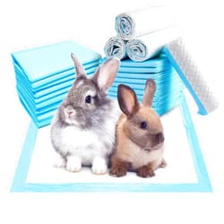 Tfwadmx 100 Pcs Rabbit Pee Pads Disposable Cage Liners Leak-Proof Super Absorbent Potty Training Pad for Puppy Guinea Pigs Hedgehog Hamsters Chinchillas Cats and Other Small Animals