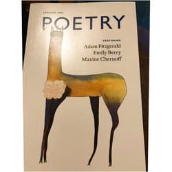 Ss poetry paperback january 2014 adam fitzgerald emily berry maxine chernoff