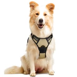 rabbitgoo Dog Harness No Pull with 2 Leash Clips, Adjustable Soft Padded, Reflective Oxford No Choke Pet Vest with Easy Control Handle for Medium Sized Dogs, Beige, M