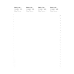 PANTONE Smart 11-4201X Color Swatch Card, Cloud Dancer
