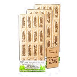 HAMAMA Microgreens Growing Kit Replacements - Wheatgrass Indoor Sprouts Mat - Seed Quilts Easy Setup Pack of 3 - No Tray Only Seeds Refills