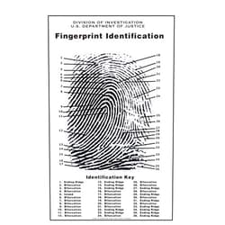 Crime Scene Fingerprint Chart, Poster Size 24