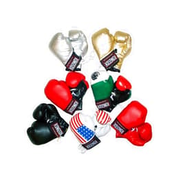 Ringside Miniature Bag Gloves