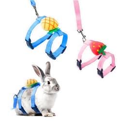 Aecsze 2 PCS Adjustable Rabbit Harness and Leash Set, Bunny Clothes for Rabbits, Small Pet Cute Vest Harness Leash with Decoration for Bunny Ferret Small Pets (Yellow and Red)