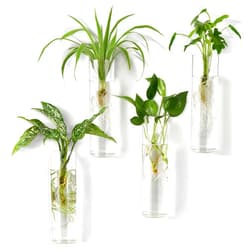 Mkono Propagation Station Wall Planter Hanging Glass Tubes Flower Vase for Hydroponics Plants, Bathroom, Home Office Living Room Decor Gift, Cylinder Set of 4